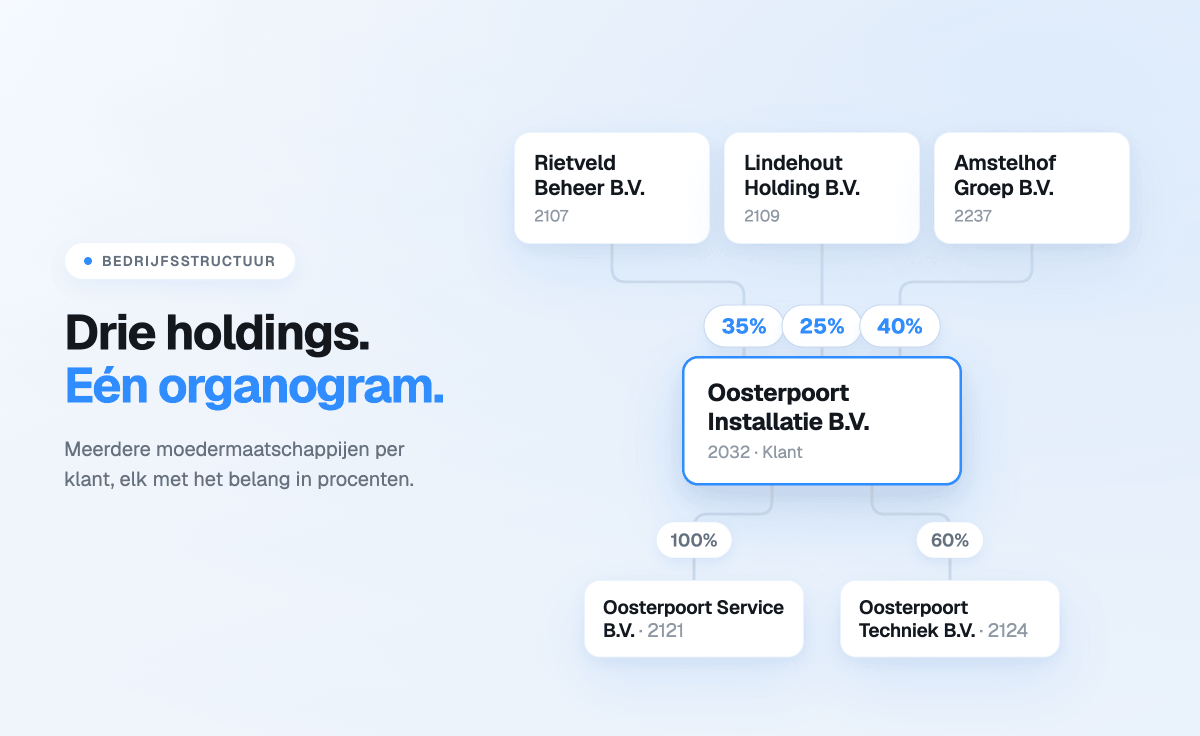 The org chart with three parent companies and their ownership percentages above the client